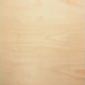 DesignerPly Hoop Pine - BB Grade
