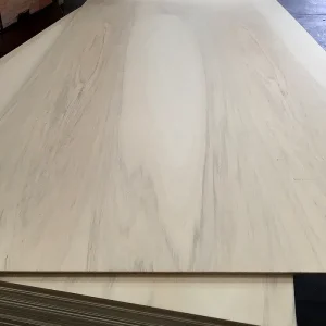 Plywood - BB/CC - Door Skins