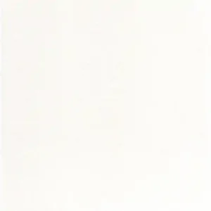 RV Endure - Hardwood Plywood Panel with Decorative Surface